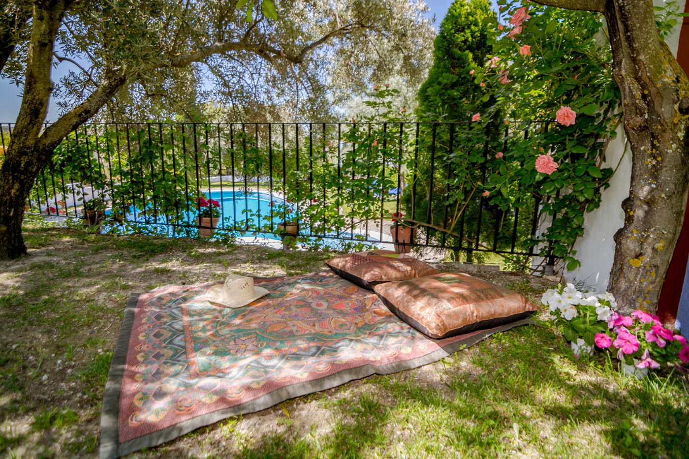 Muchas zonas con sombra